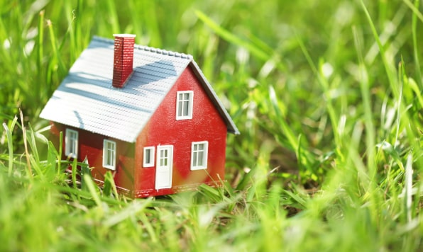 A tiny house on green grass